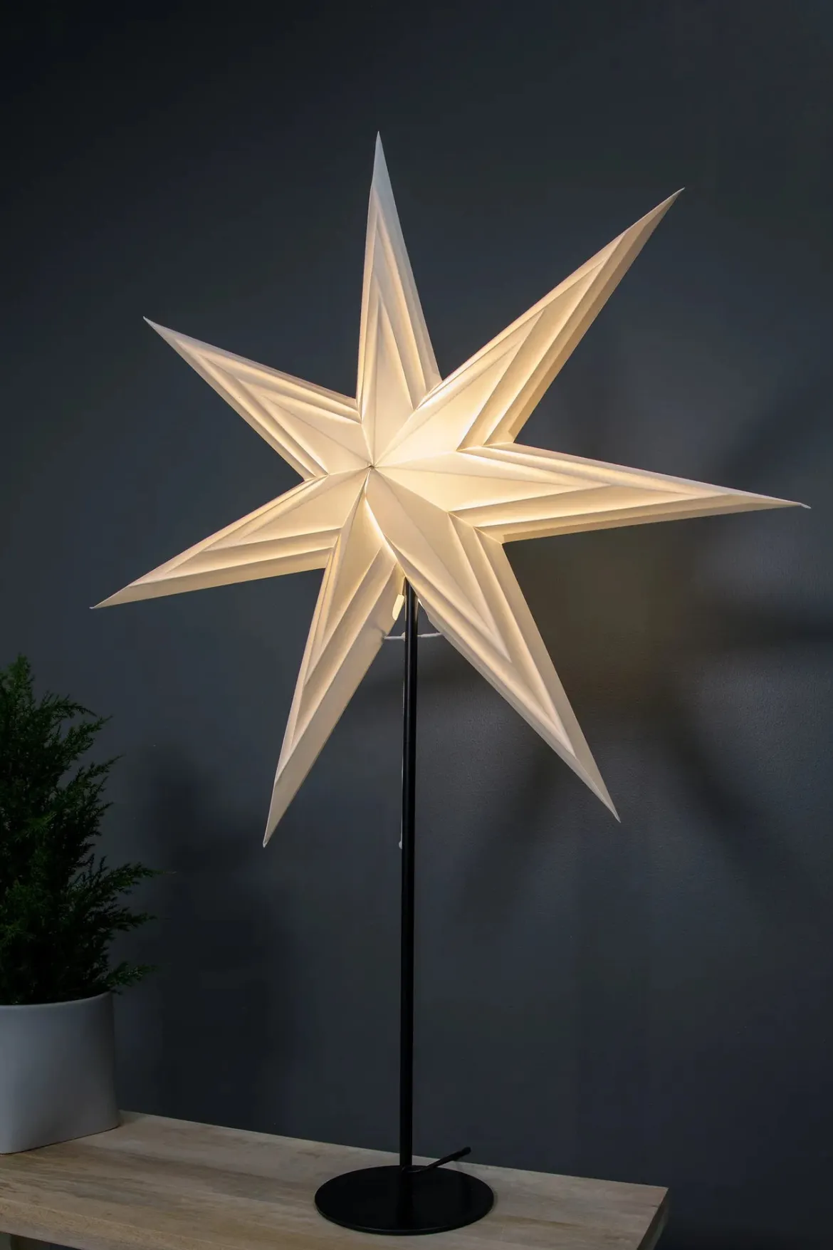 Sombra Bordsstjärna Vit